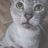 crouton_t