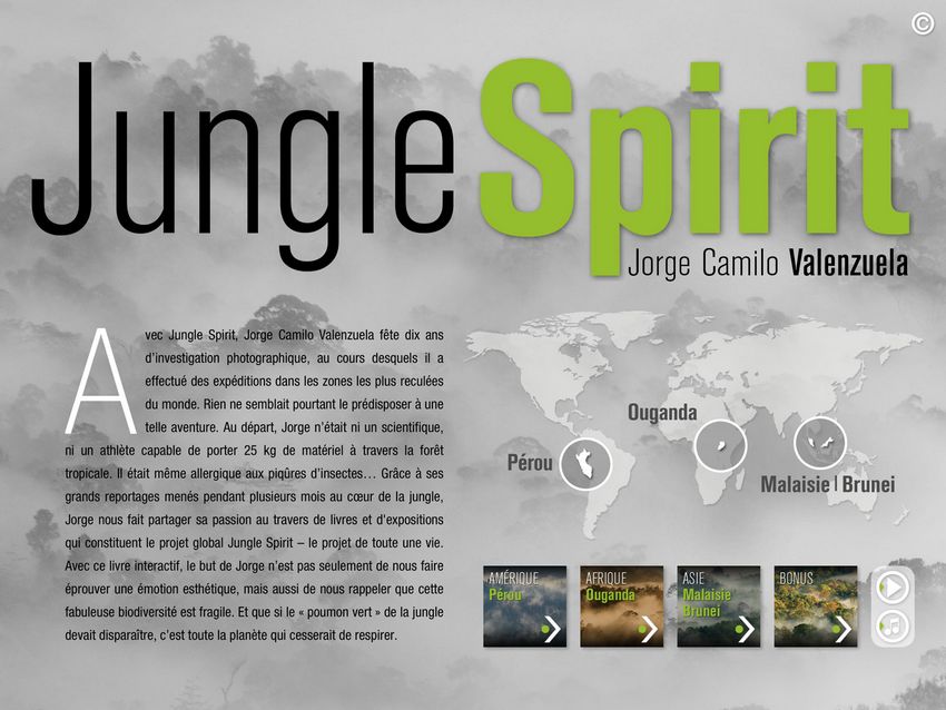 Forest Spirit: Phone Call of bush